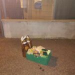 485611623_1802648257256528_7670469445179766376_n